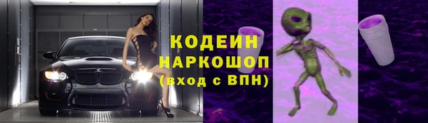 прущие грибы Щучье