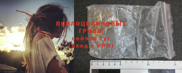 прущие грибы Щигры