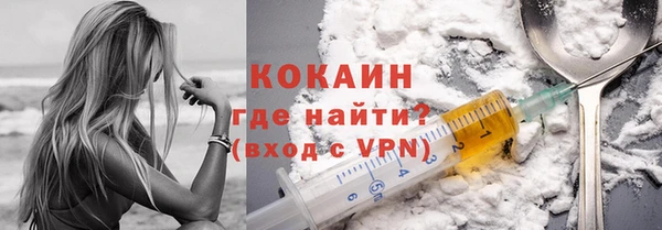 прущие грибы Липки