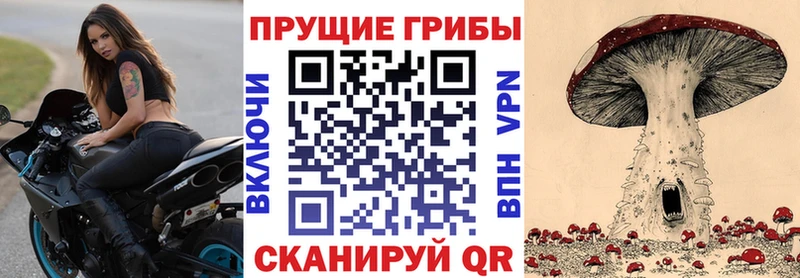 Псилоцибиновые грибы мицелий  Кириллов 